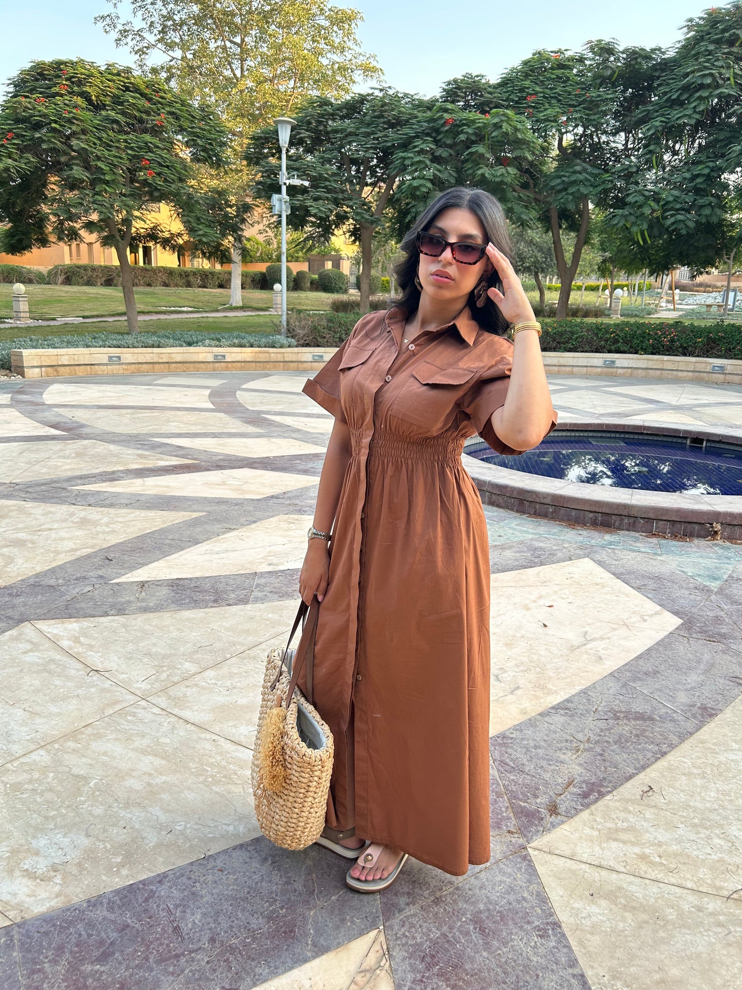 The Brown Dress
