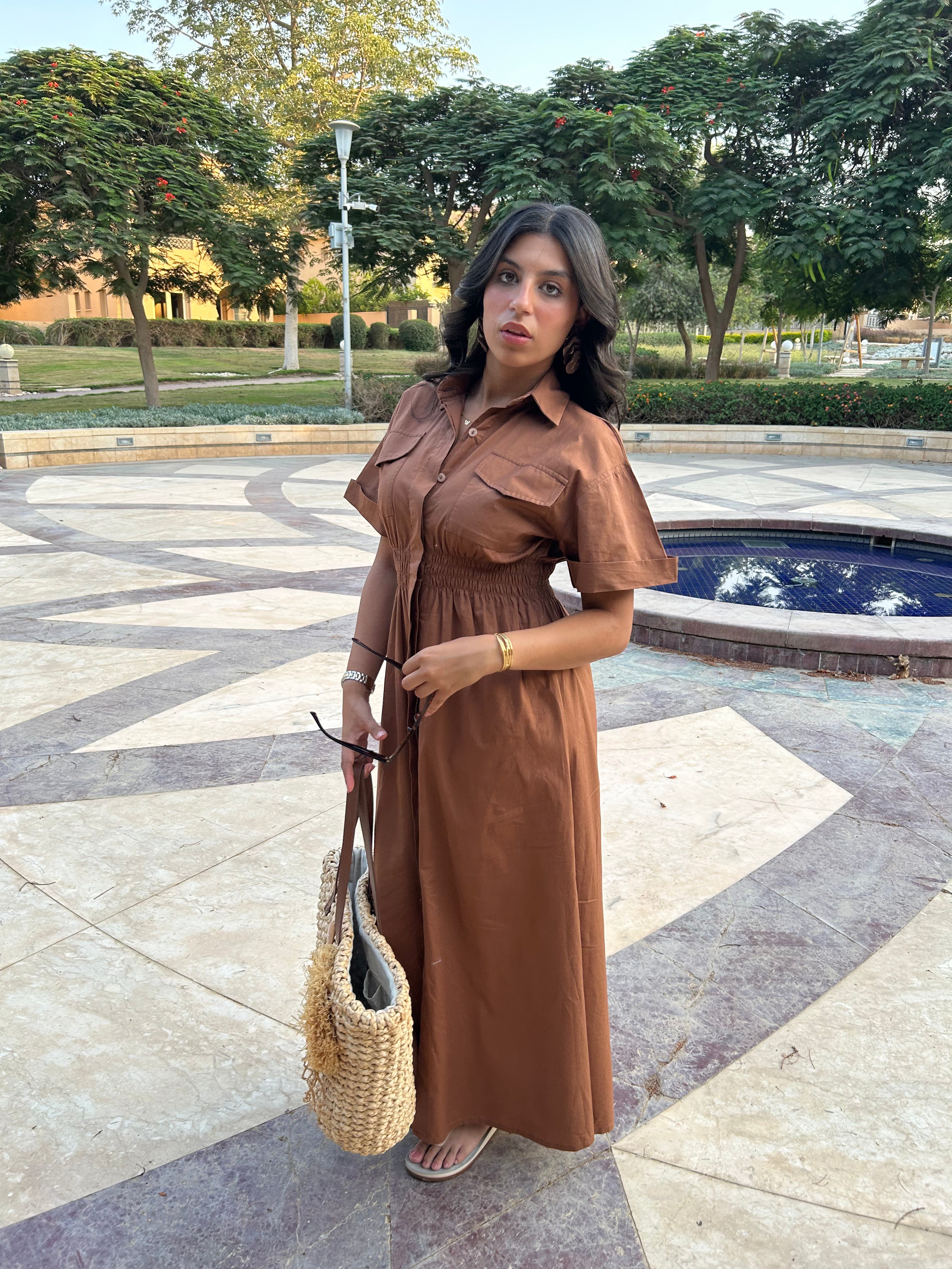 The Brown Dress